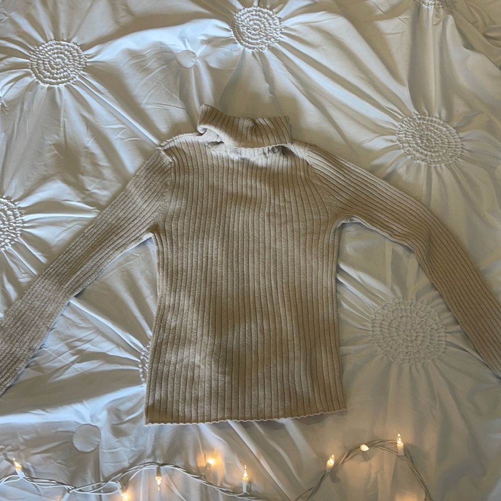 American Eagle Outfitters Tan Turtleneck